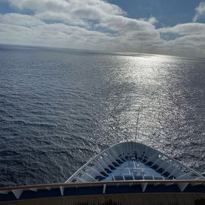 Meet your Posher, Nazeeha